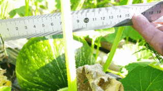 Thumbnail of post image 059